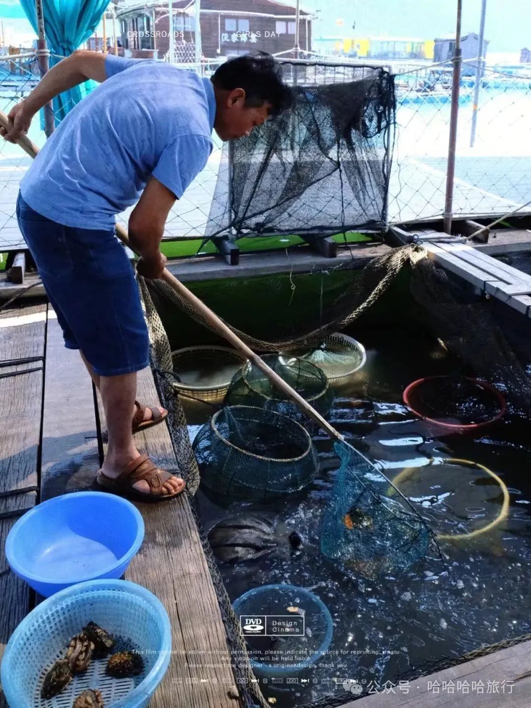 潮汕黄只是什么鱼_潮州黄鱼做法_潮汕美食 老黄