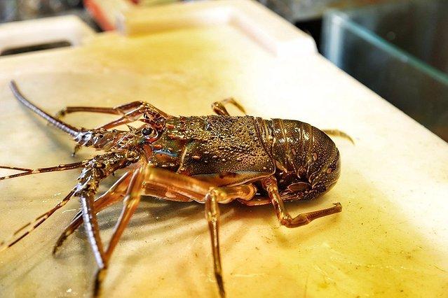 美食街港式招牌_港风美食街_港式美食城